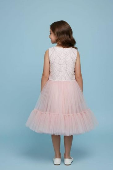 صورة فستان سهرة أطلالة ملكية بلمسات اللؤلؤ والدانتيل